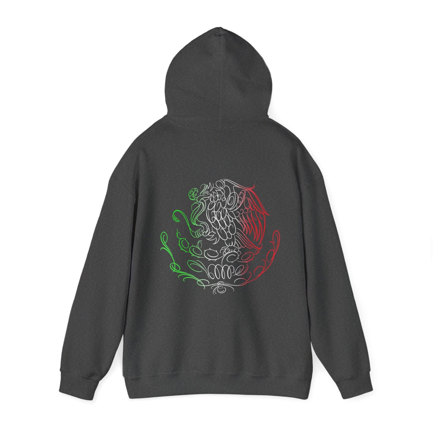 Escudo a color Hoodie